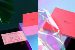 Kristina Bartošová