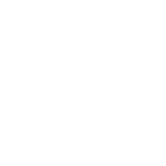 Project thumbnail for Lena Hoschek